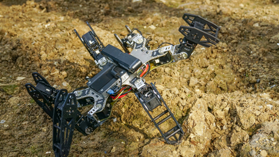 damaged 6-legged robot